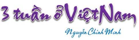 (roi) 3 tuan o VN