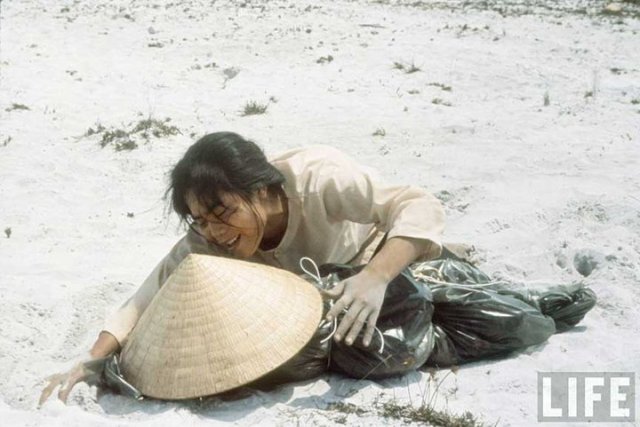 162896_182440631778895_4352371_n