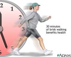 8-li-do-de-di-bo-moi-ngay-9197-1