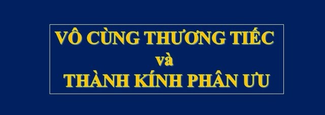 Vô cung thương Tiếc