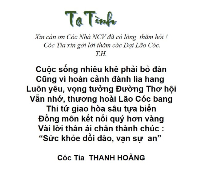 (R) Ta Tình _ Coc Tía NTH