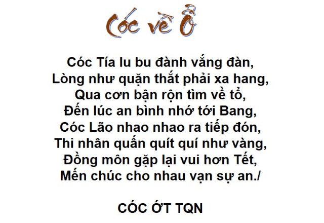 (R)Coc ve ổ