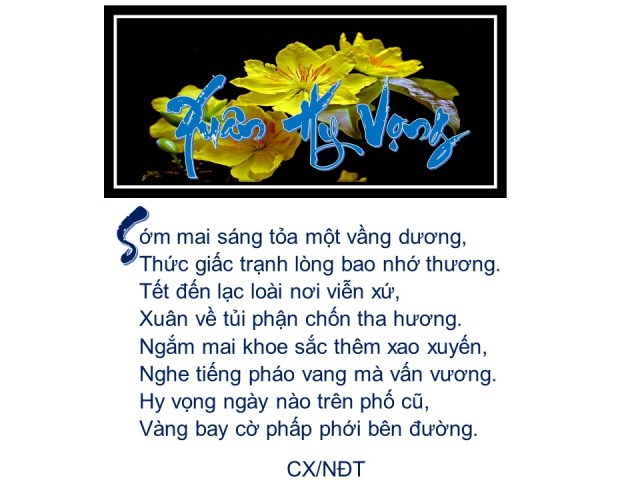 (R)Xuân Hy Vọng _ NDT