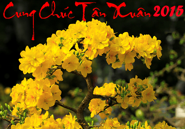 Thiệp Xuân của Vỏ đăng ngọc