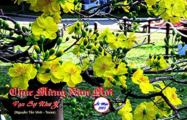 Thiep Xuan_ N tấn Vĩnh