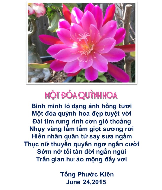 Hoa quynh_ TPK