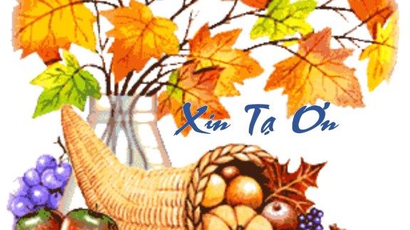 Xin Ta On