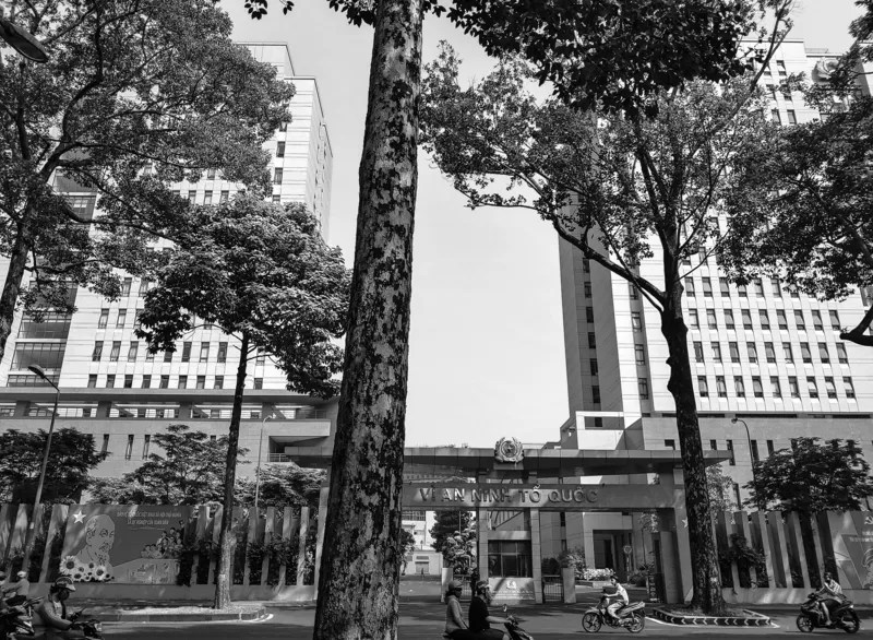 This image has an empty alt attribute; its file name is sg-7.webp