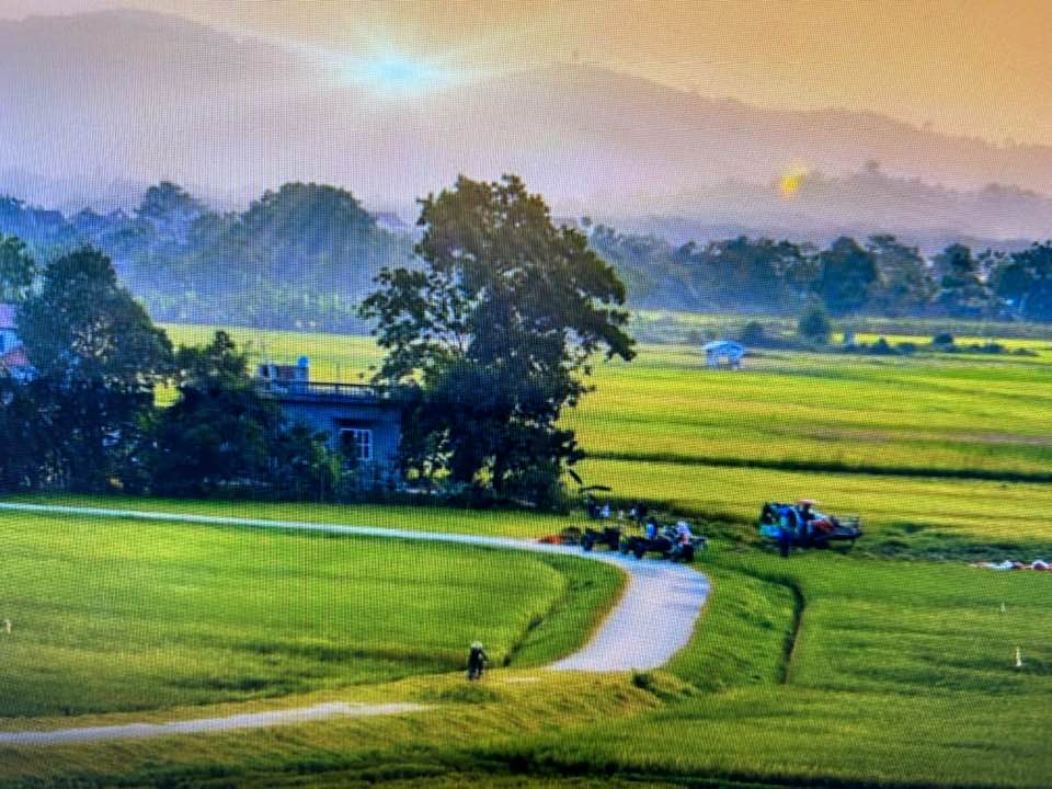 329258792_685732039917736_8551804497965877047_n