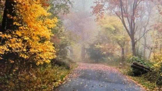 383074731_1579446062586344_3392915096649742201_n